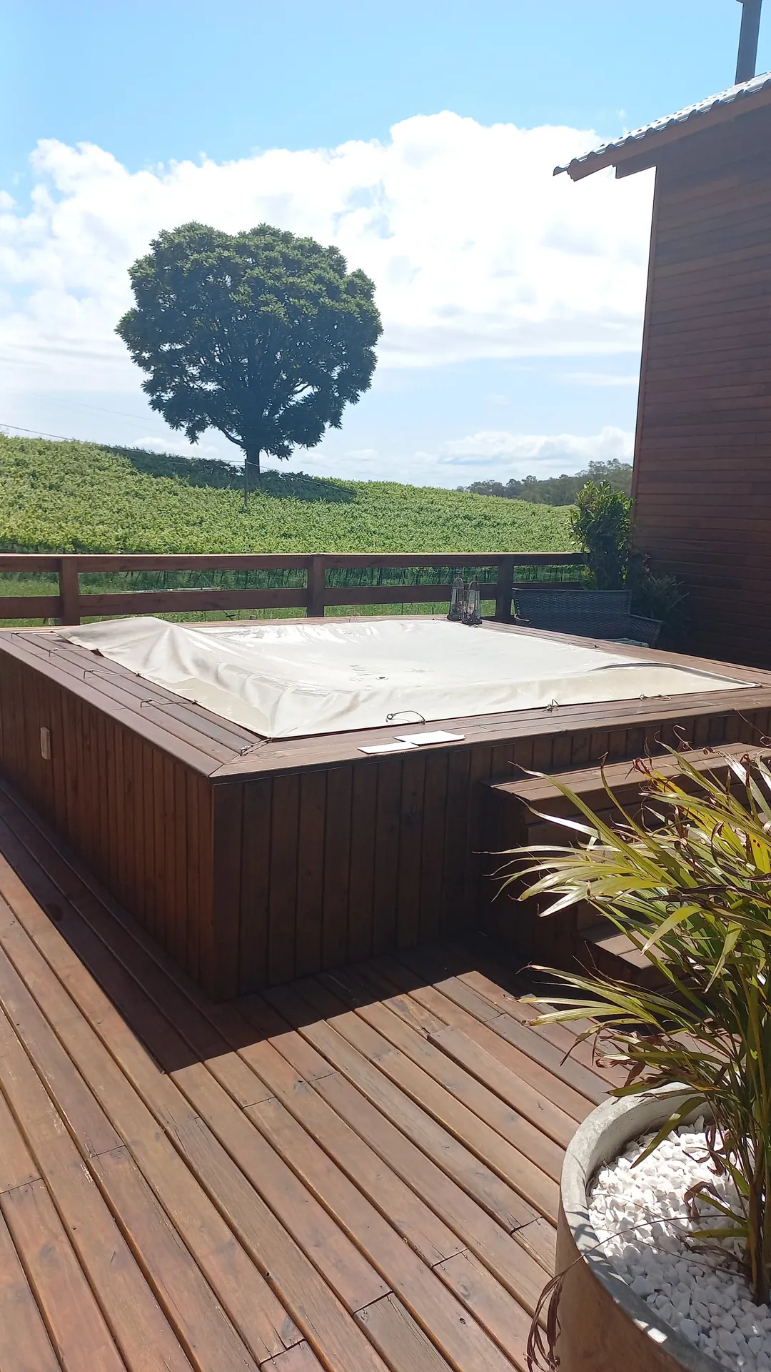 Hidromassagem no deque, sob a copa da árvore